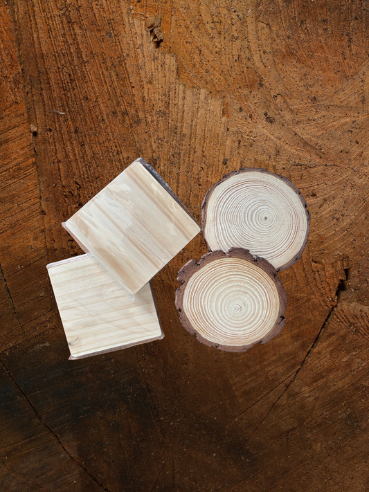 Custom "Coordinate" Hand Painted Coaster